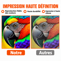 B peux tu me traduire 